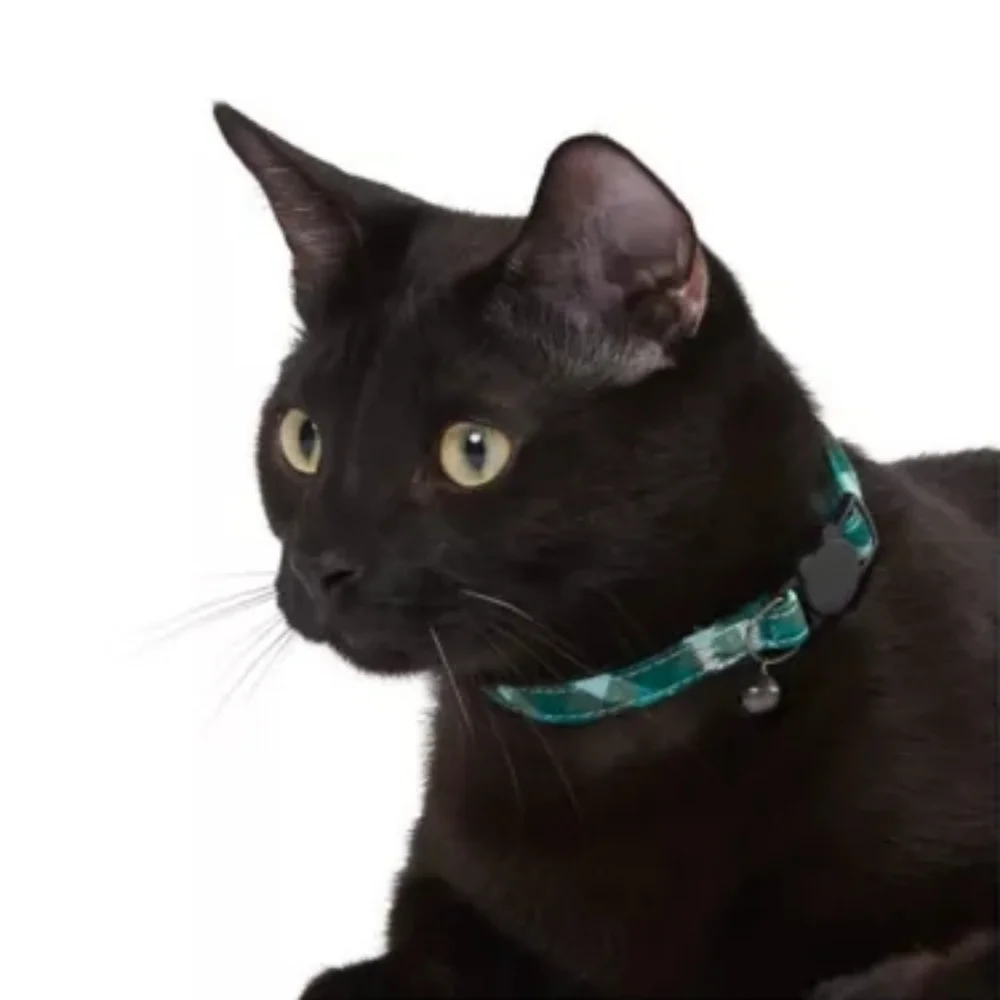 Whisker City Exclusive Green Plaid Easy Release Adult Cat Collar (8in-12in) NWT